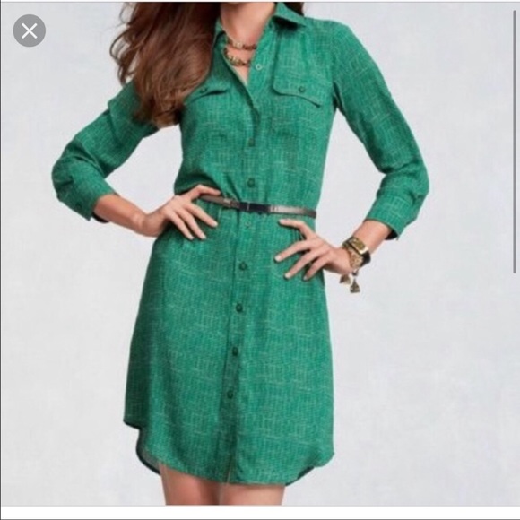 CAbi Dresses & Skirts - Cabi - Long Sleeve Shirt Dress
